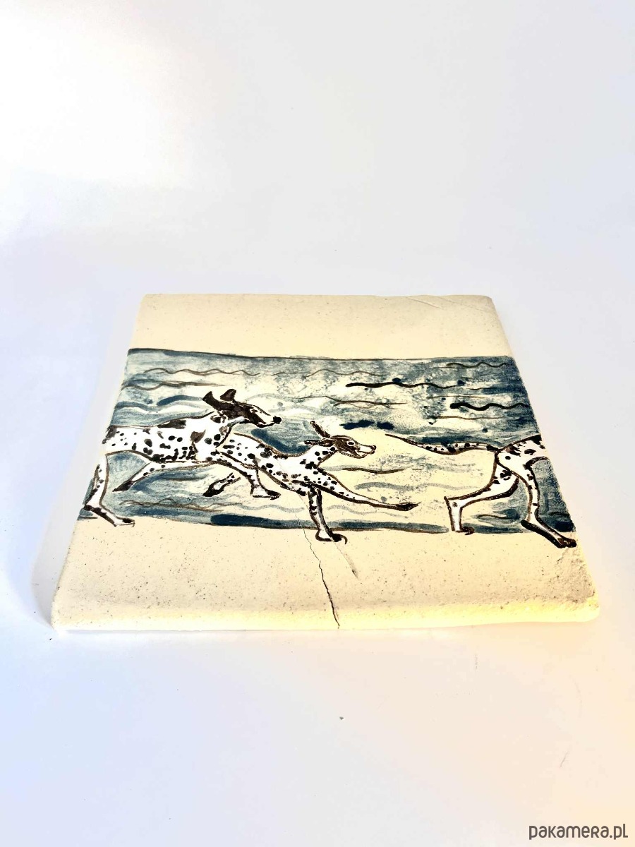 kafle i panele Ceramiczna płytka Pieski nad morzem, dekoracja ścienna, kafel 4