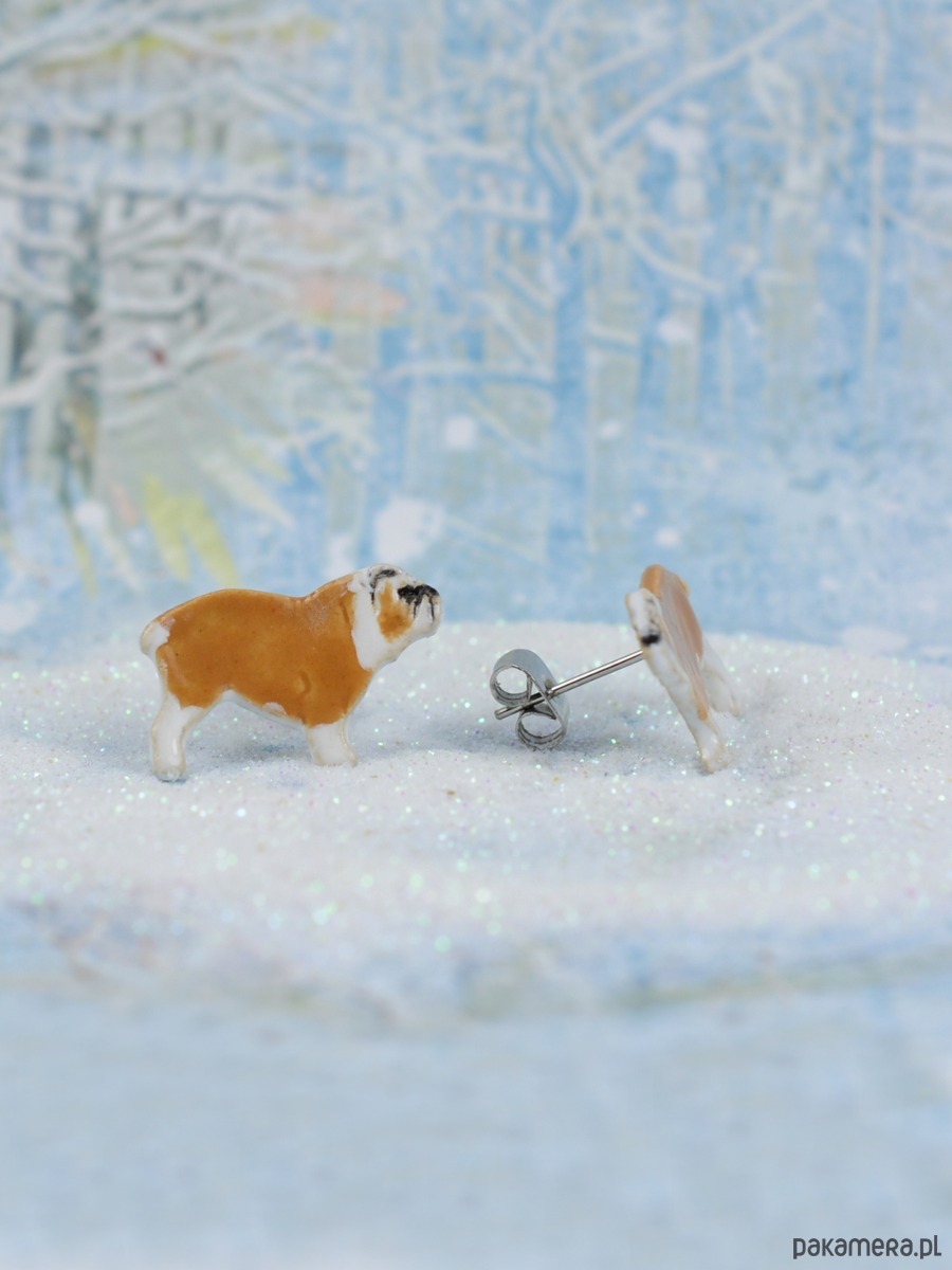 kolczyki ceramiczne Buldog angielski miniaturka- ceramiczne sztyfty 1