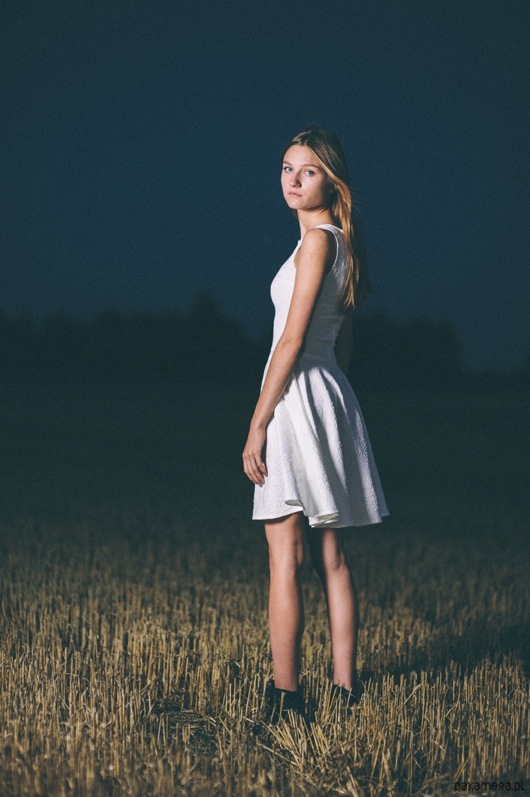 sukienki mini damskie Sukienka rozkloszowana Lovage 3