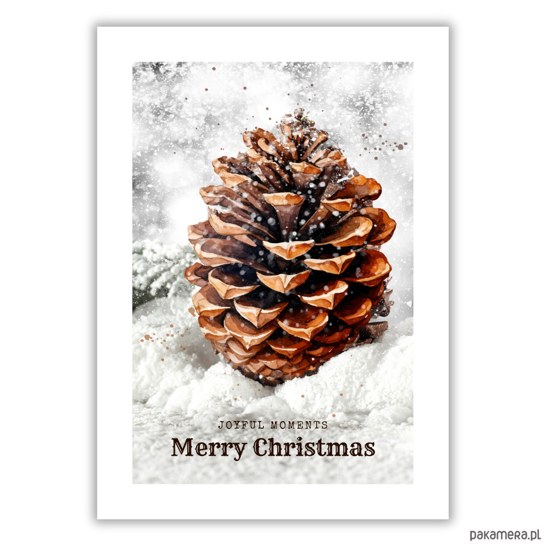 plakaty Plakat Frosted pine cone 2