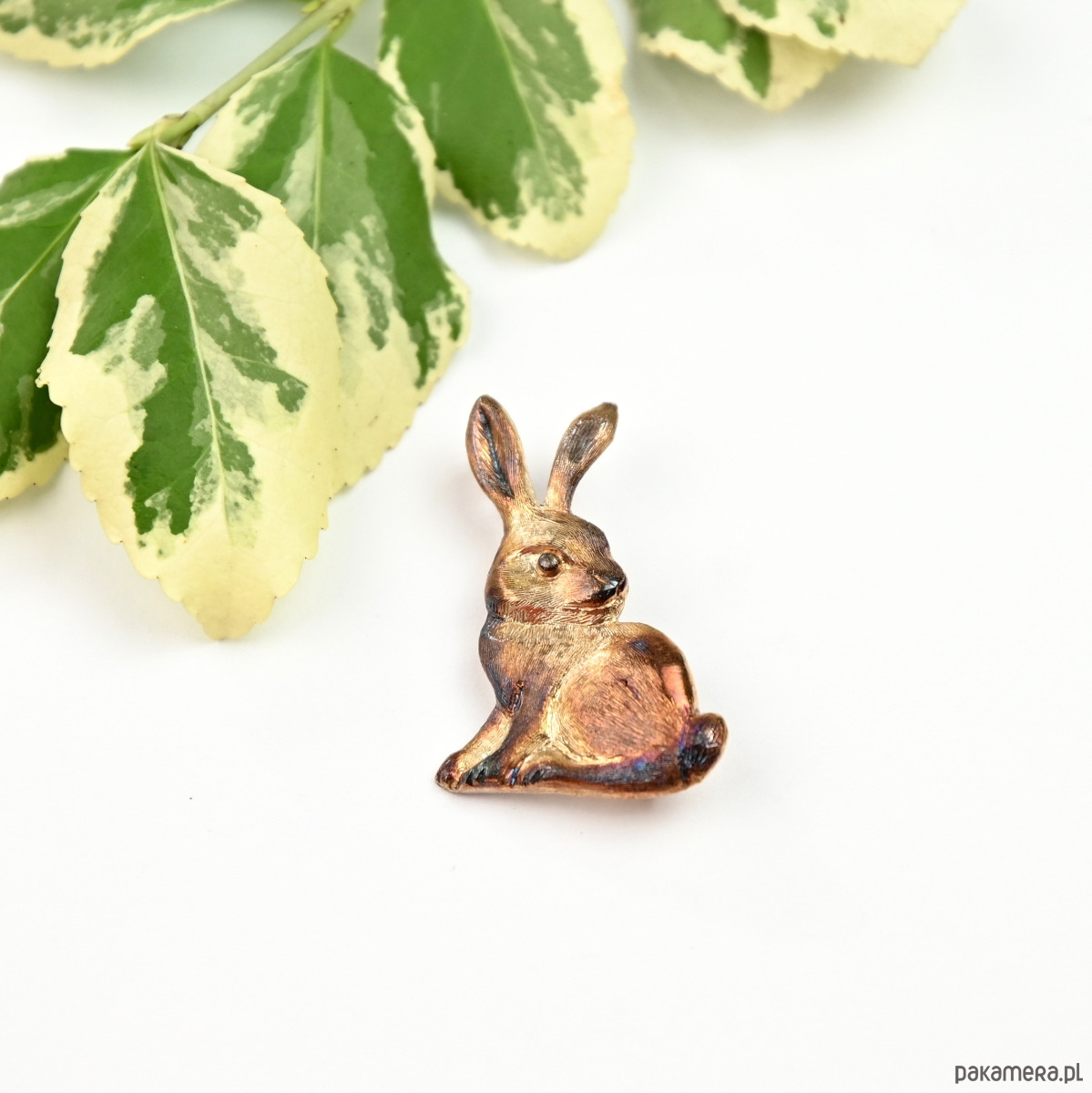 broszki Broszka srebrna z zajączkiem brązowym 4