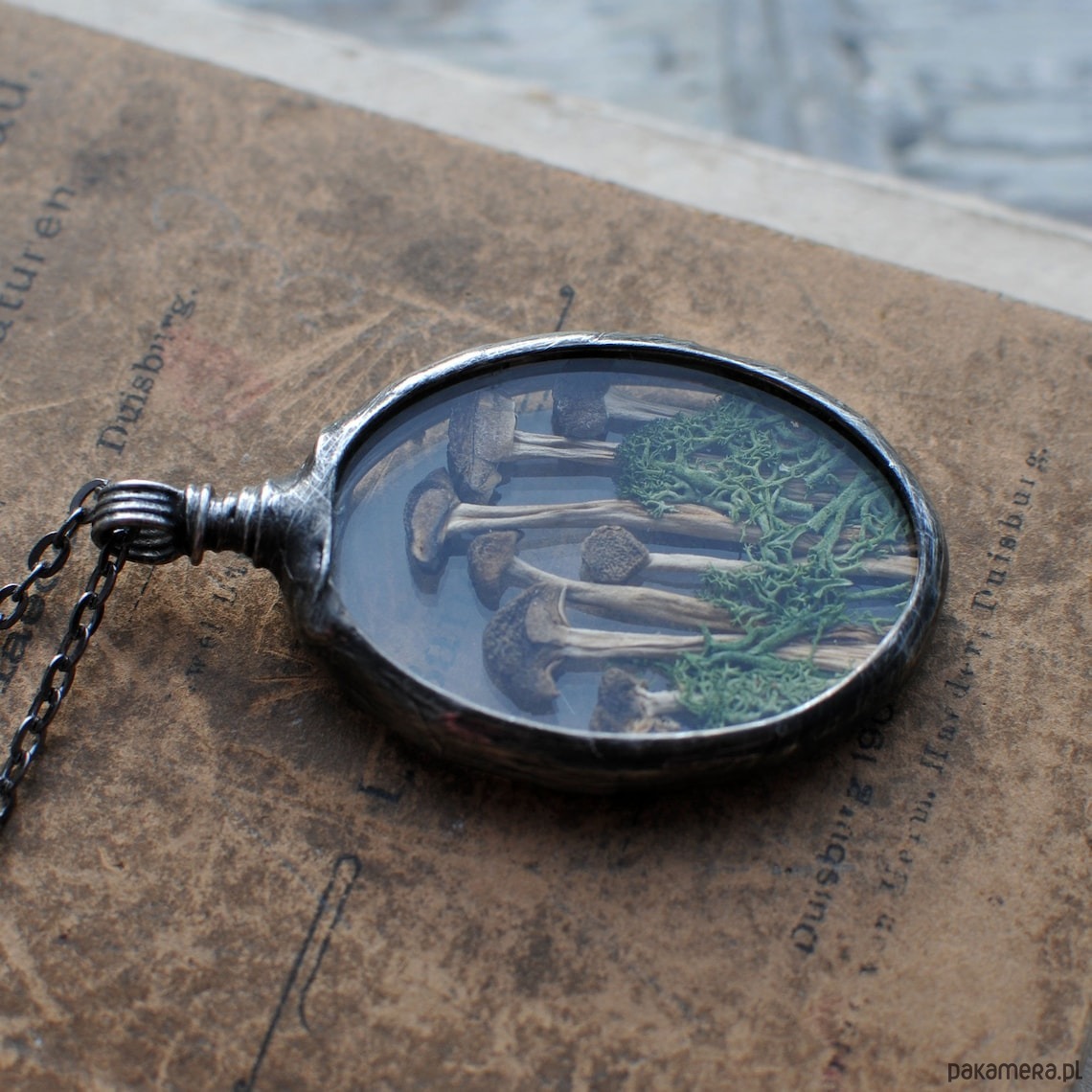 wisiory Las i Grzybki 4