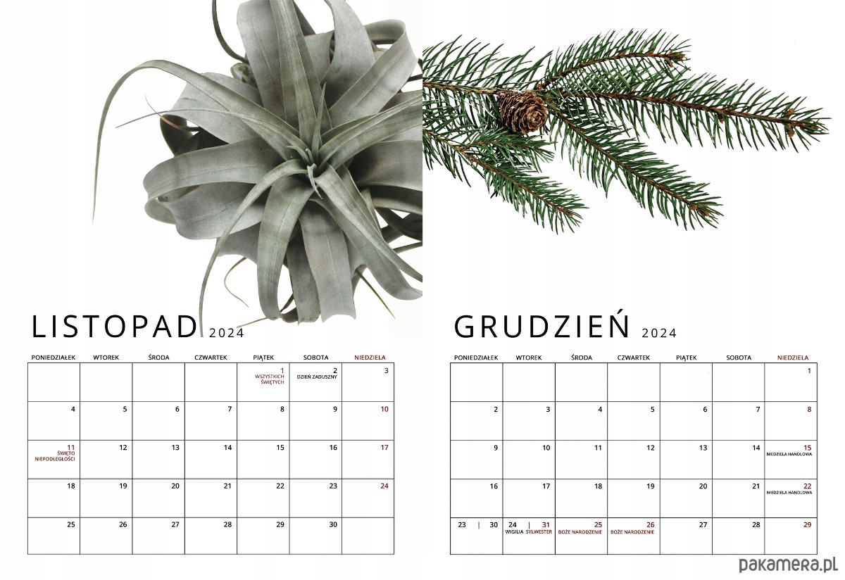 kalendarze i plannery Kalendarz ścienny na Spirali Botaniczny A3 Premium 6