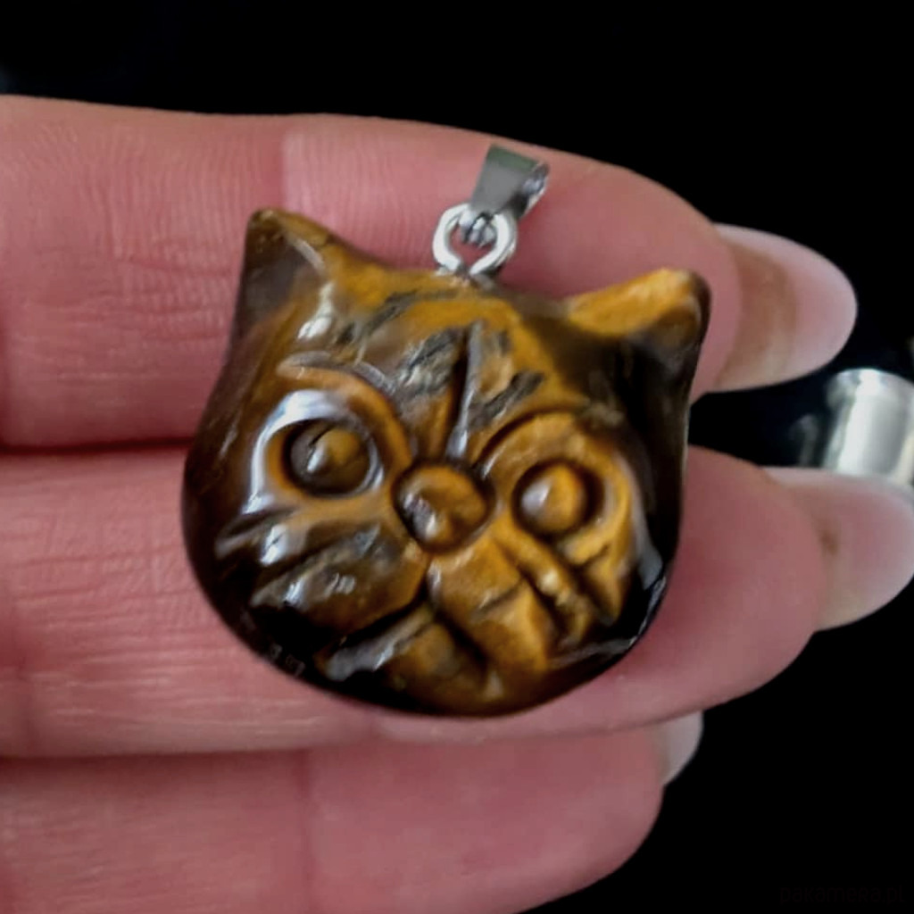 wisiory Kociątko tygrysiątko 1