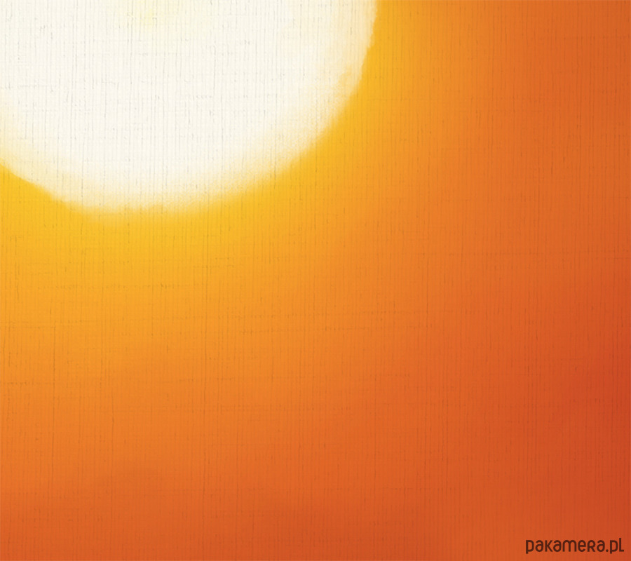 obrazy Obraz - Afryka 2 - wydruk na płótnie 3