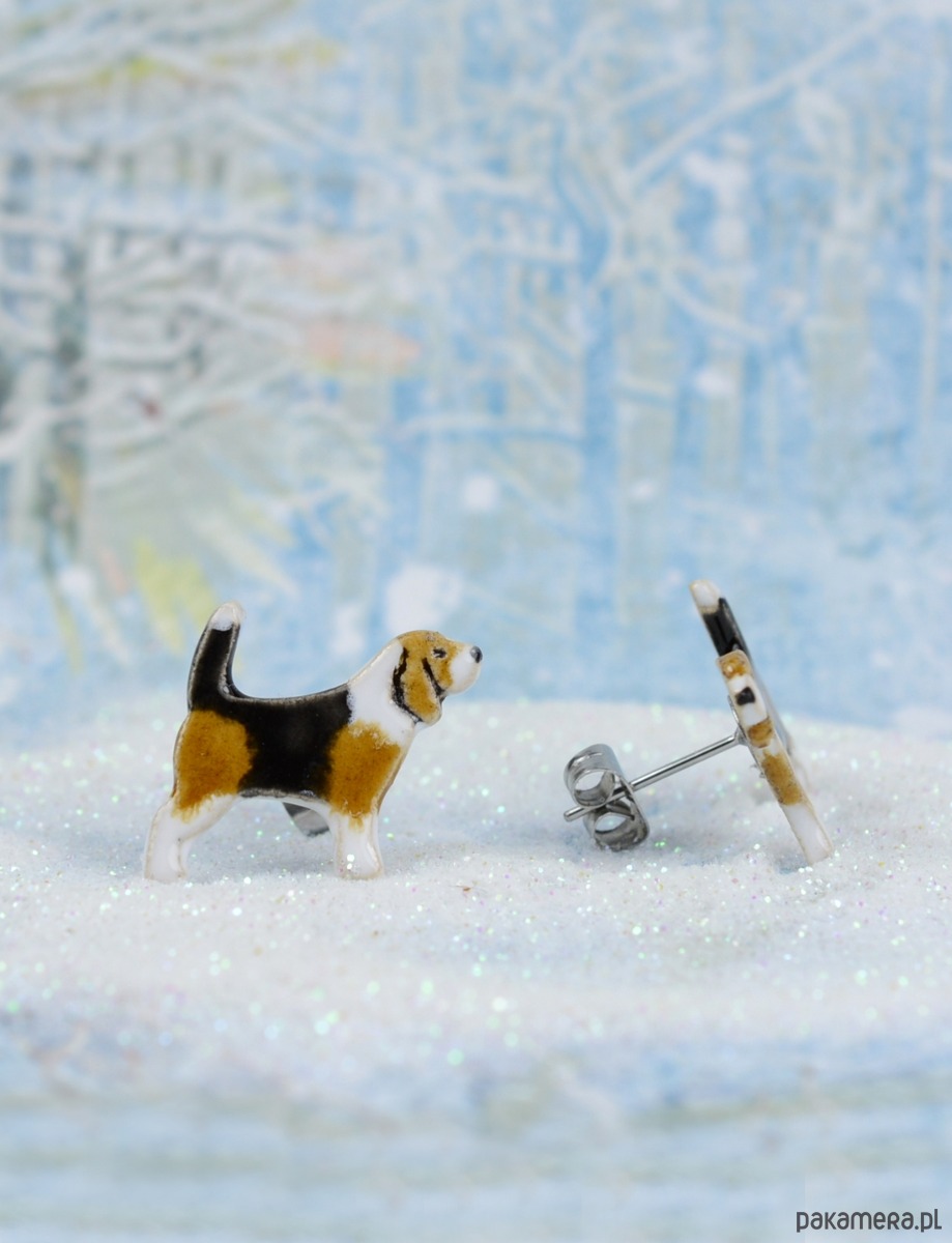 kolczyki ceramiczne Beagle mini pieski- ceramiczne sztyfty 1
