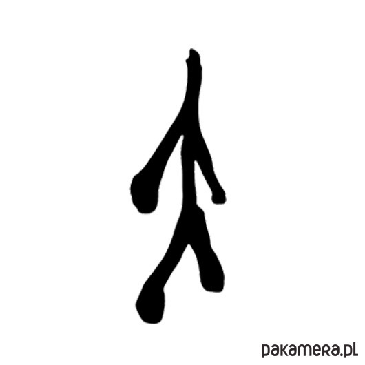 kolczyki pozłacane Kolczyki pozłacane SZADŹ No. 2 2