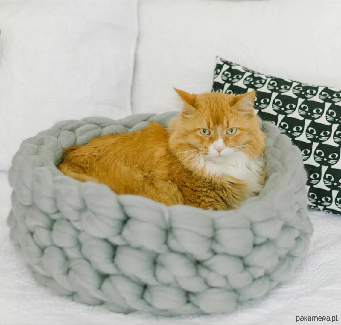 legowiska dla psów i kotów Legowisko dla kota, łóżko dla kota, meble dla kota, kocyk dla kota 2