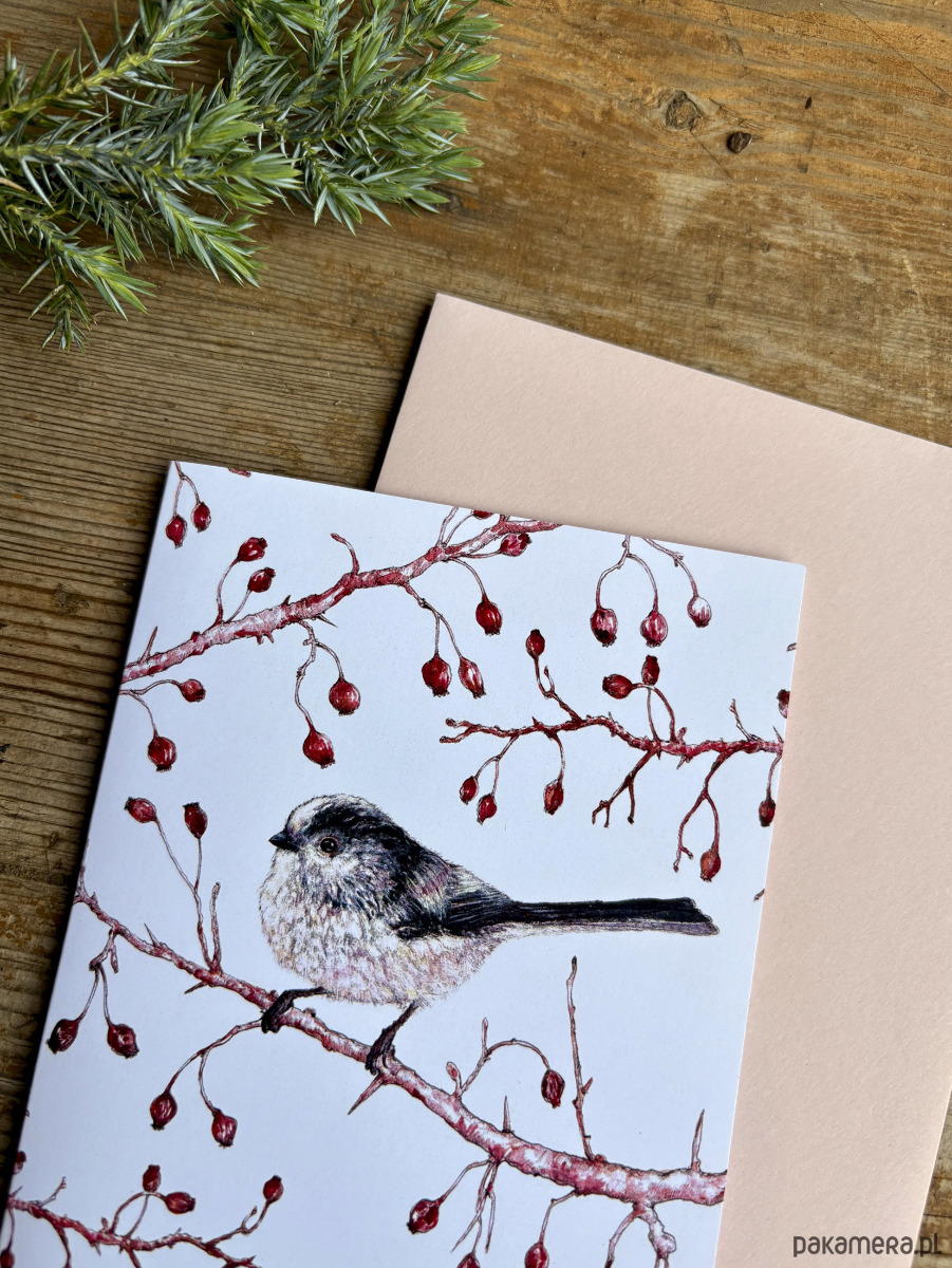 kartki okolicznościowe - wydruki Raniuszek- Kartka- Grafika- Ilustracja- Ptaki 2