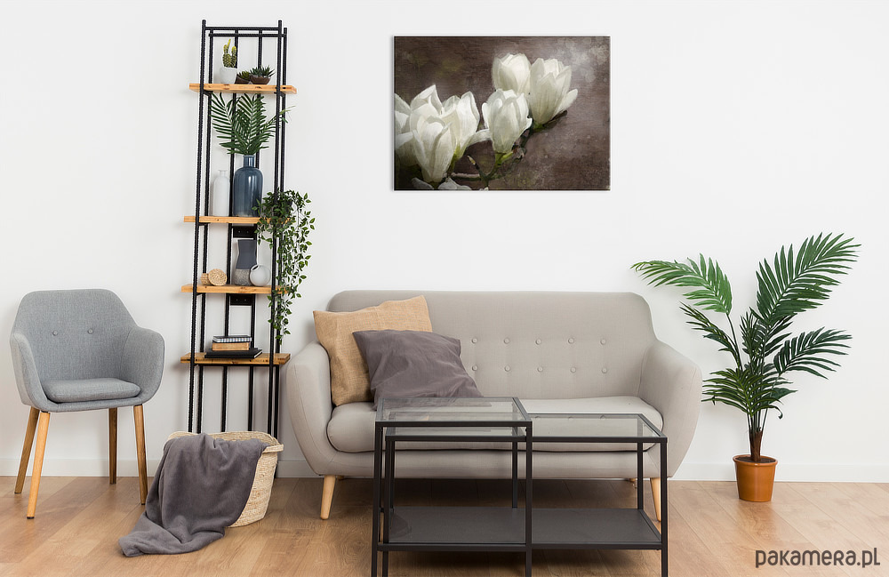 obrazy Obraz - Magnolia - wydruk na płótnie 3