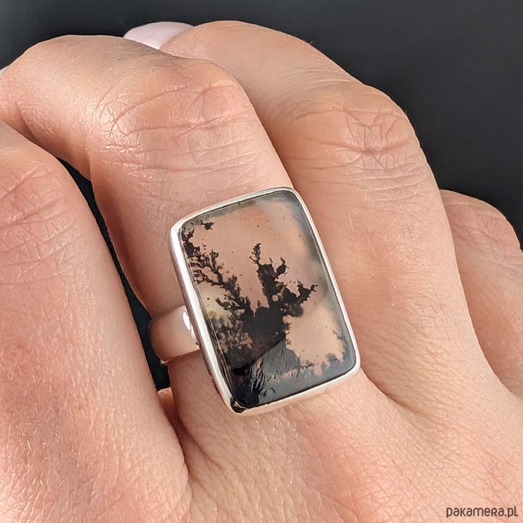 pierścionki srebrne Pierścionek montana agat 2