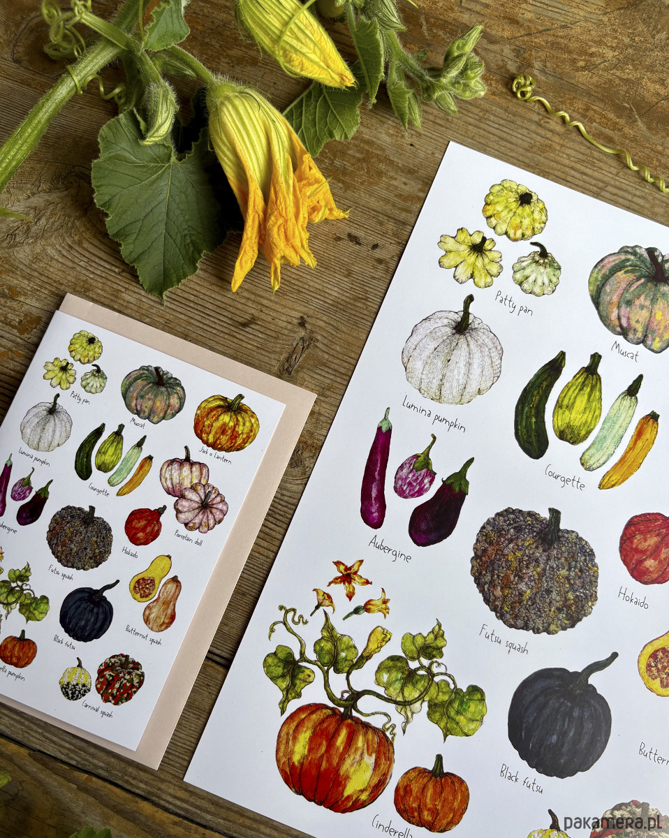 kartki okolicznościowe - wydruki Dynie- Bakłażany - Kartka- Grafika- Ilustracja 3