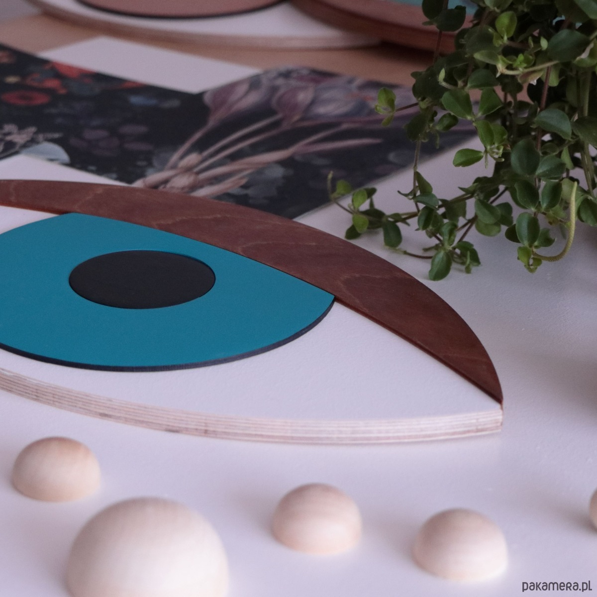 Ozdoby na ścianę Oko 3D Tramontana orzechowa powieka 1