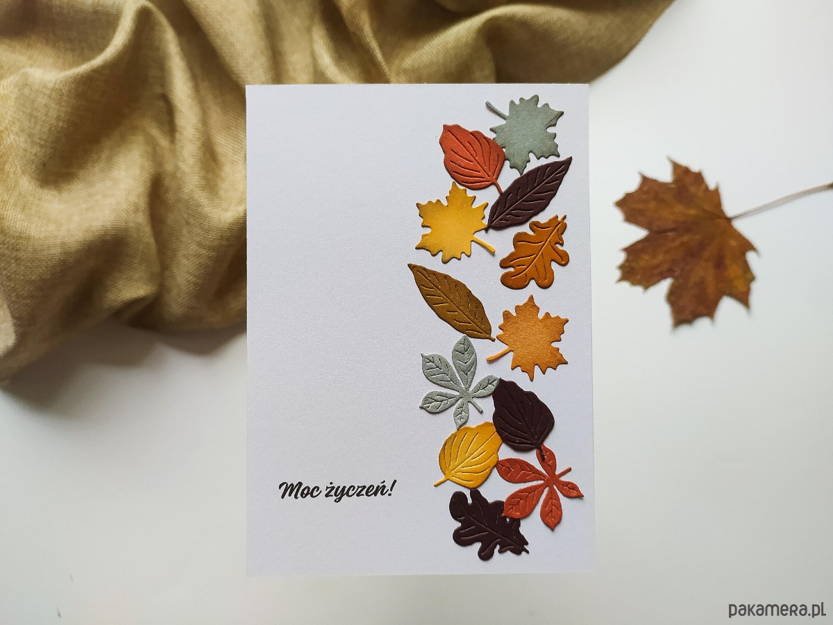 Warsztaty inne Tworzenie kartki Jesienne motywy za pomocą maszyny do wycinania 0