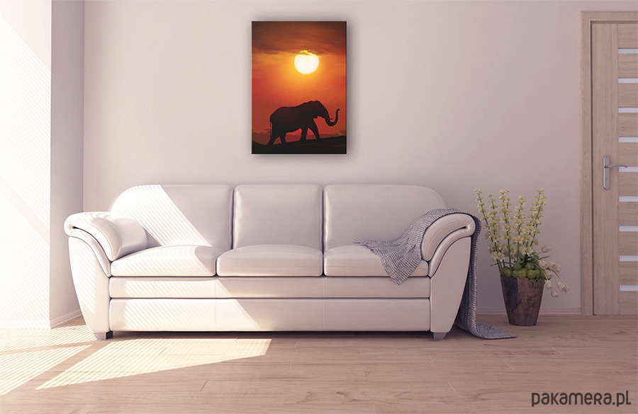 obrazy Obraz - Afryka 2 - wydruk na płótnie 2