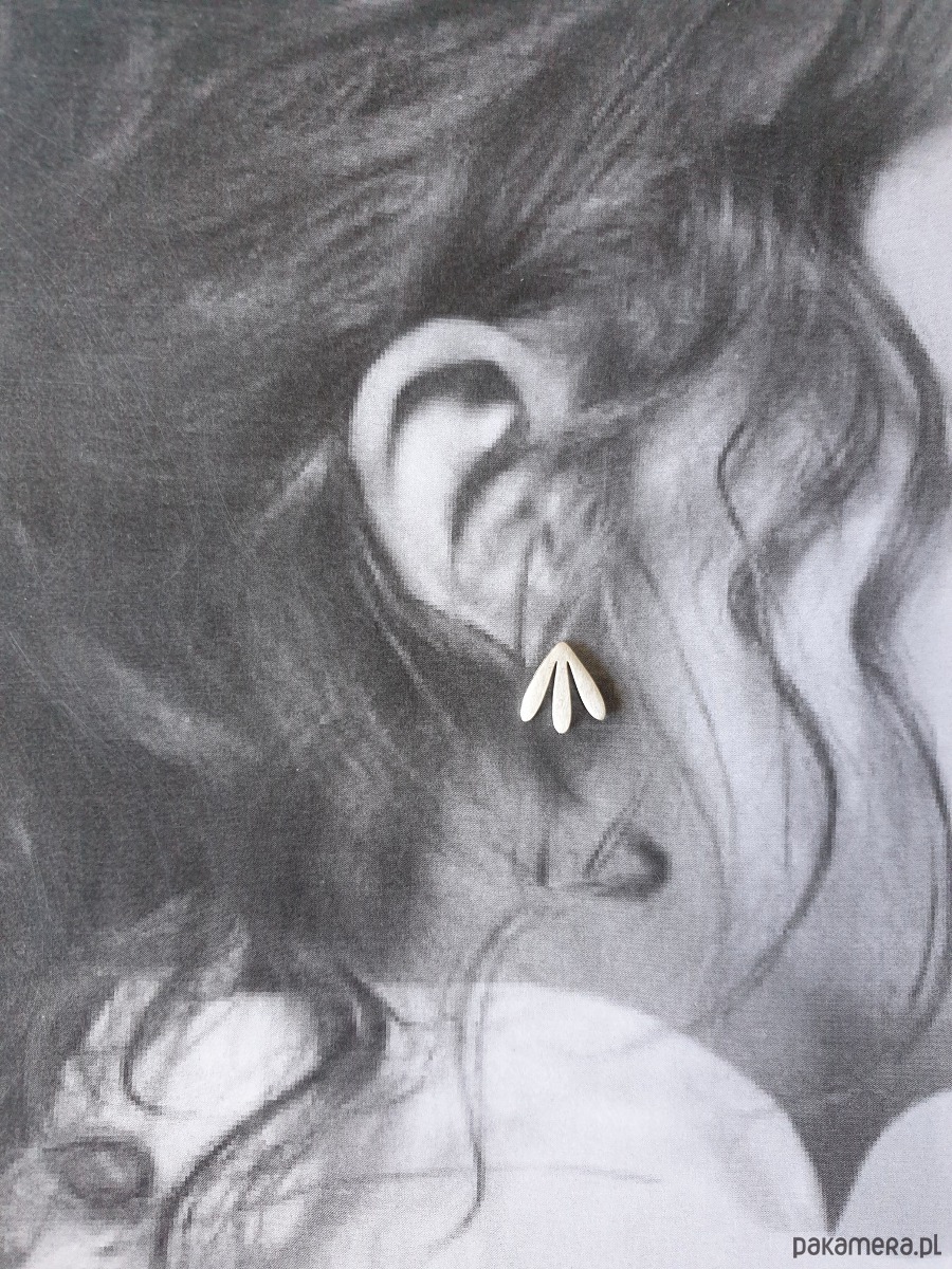 kolczyki z mosiądzu Kolczyki GARDEN OF EDEN  mini, mosiądz, liście srebrne 3