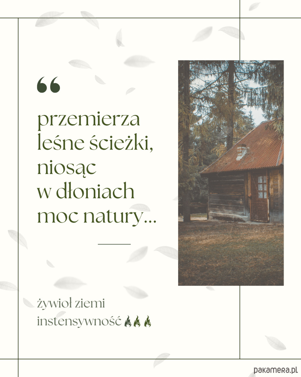 świeczniki i świece Wędrowny zielarz 1