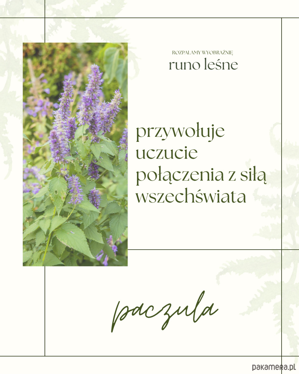 świeczniki i świece Runo leśne 4