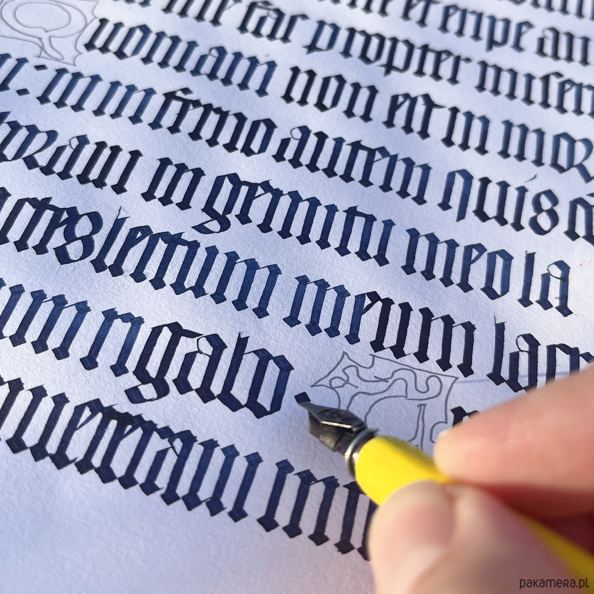 Warsztaty edukacyjne Poniedziałkowe spotkania z kaligrafią historyczną: Tekstura 0