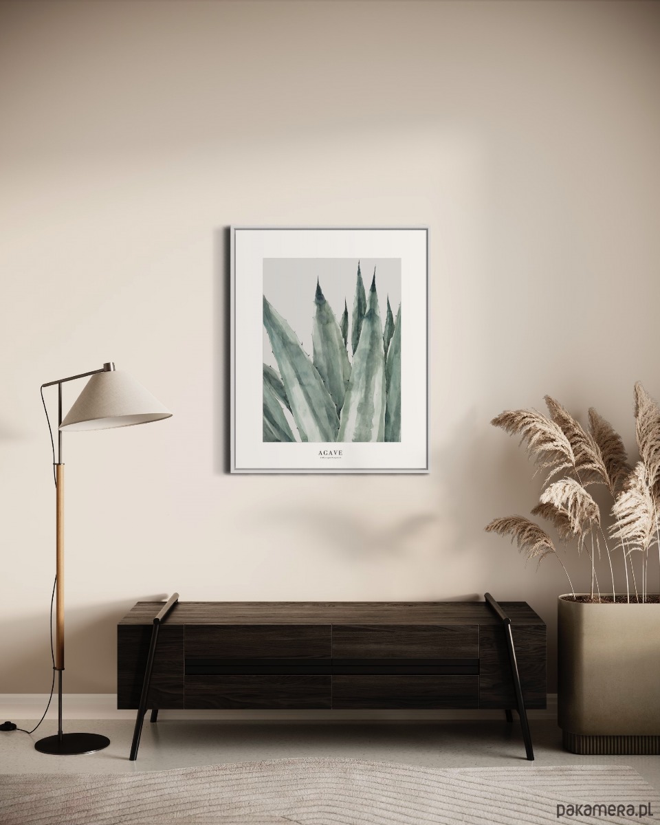 grafiki i ilustracje Agave / reprodukcja akwareli 3