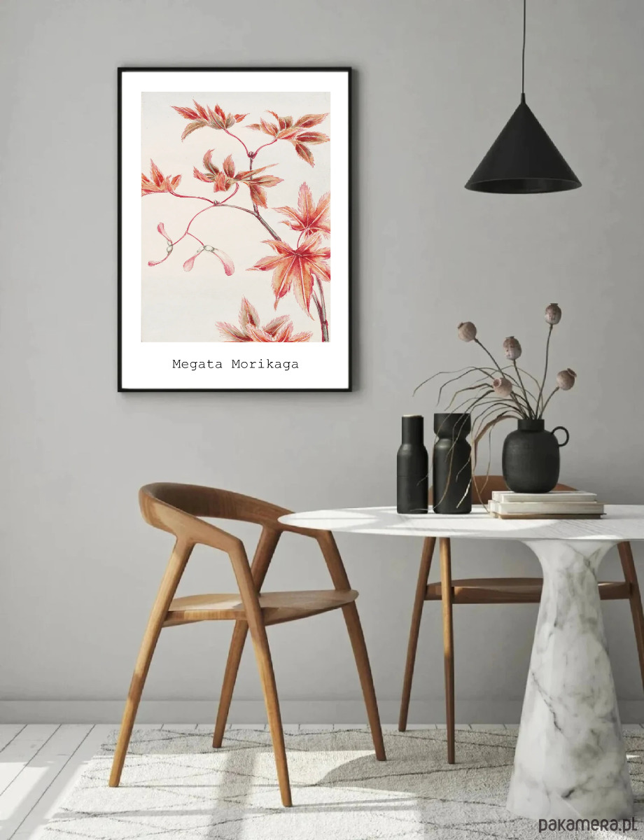 PLAKAT Japo ski Japandi Dekoracja Obraz Grafika 3254944 Pakamera pl