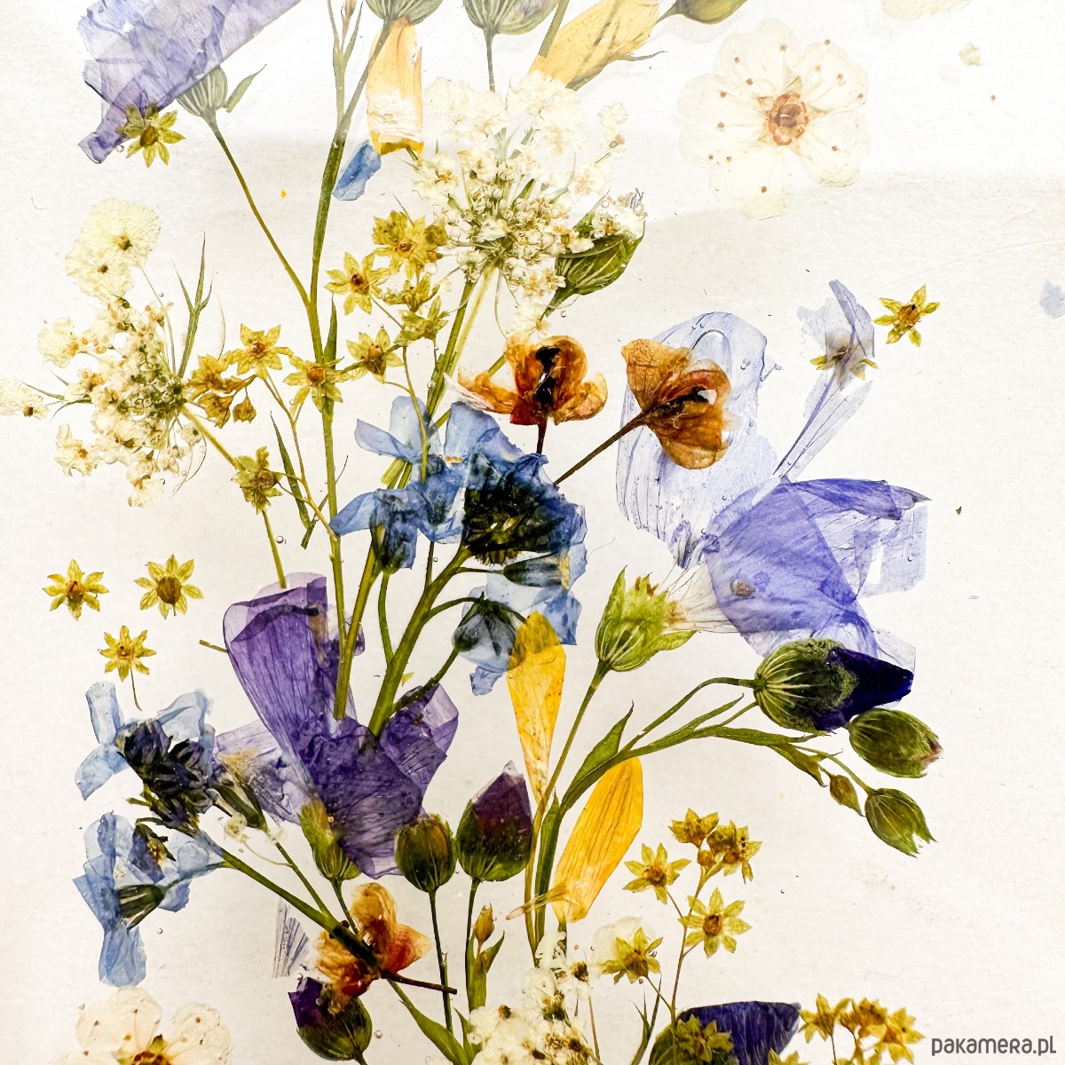 etui na telefon Etui na telefon- łuk drobnostek 2