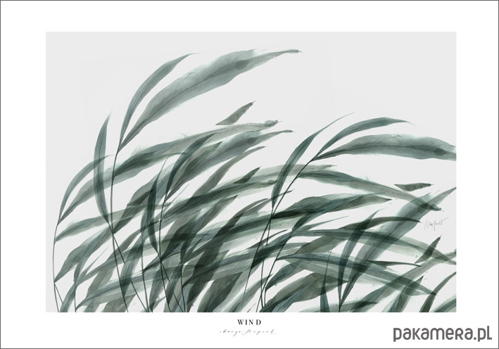 plakaty Plakat Wind  /reprodukcja akwareli 2
