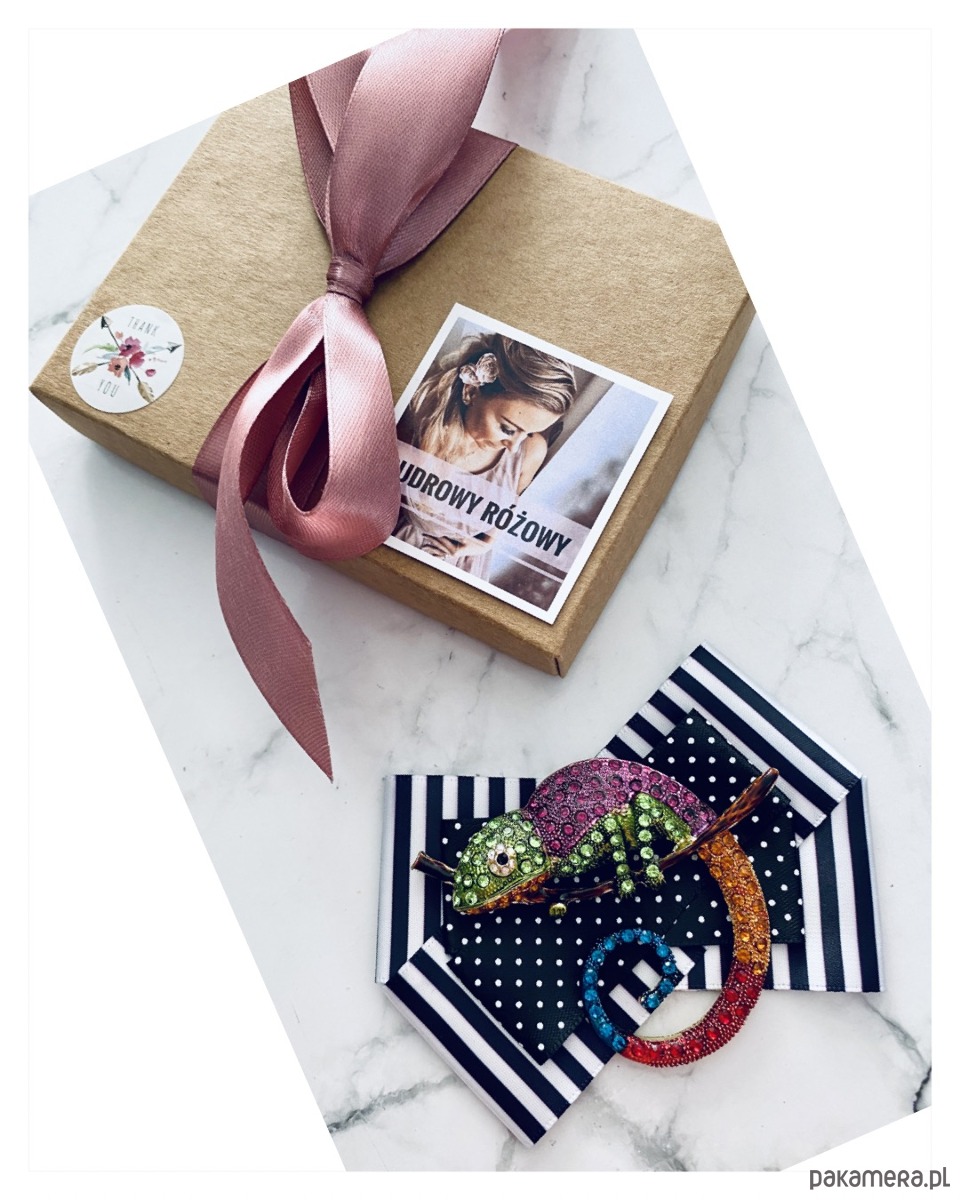 broszki Brosza  z Ogromnym  Kameleonem Kolekcja COLOR 7