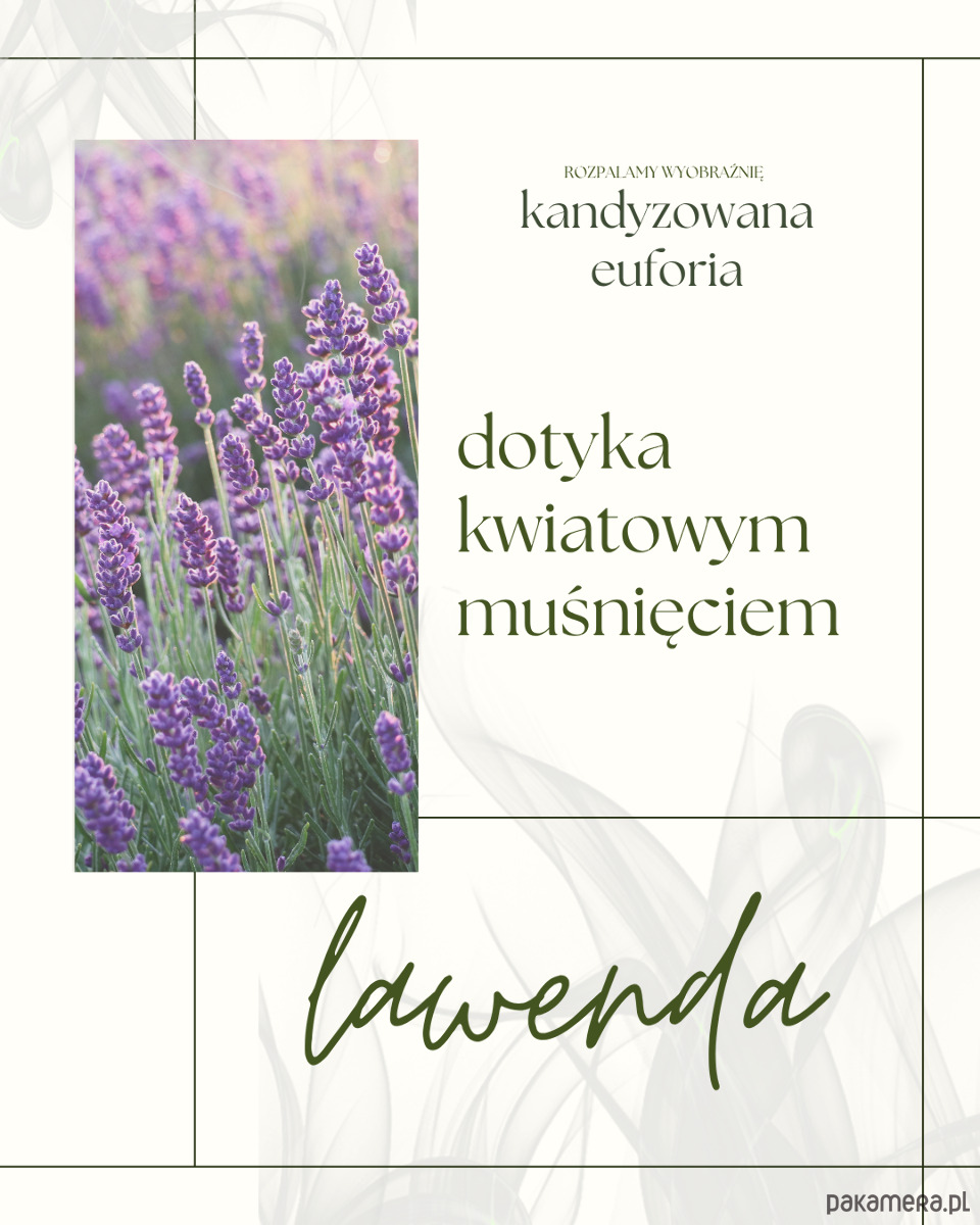 świeczniki i świece Kandyzowana euforia 5