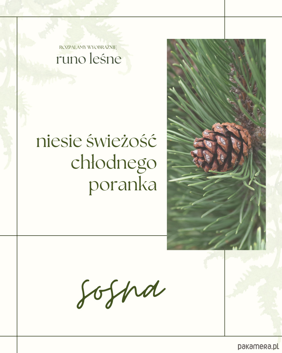 świeczniki i świece Runo leśne 3