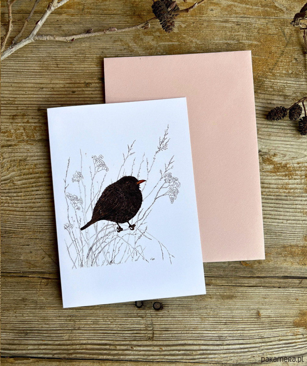 kartki okolicznościowe - wydruki Zimowy Kos- Kartka- Grafika- Ilustracja- Ptaki 1