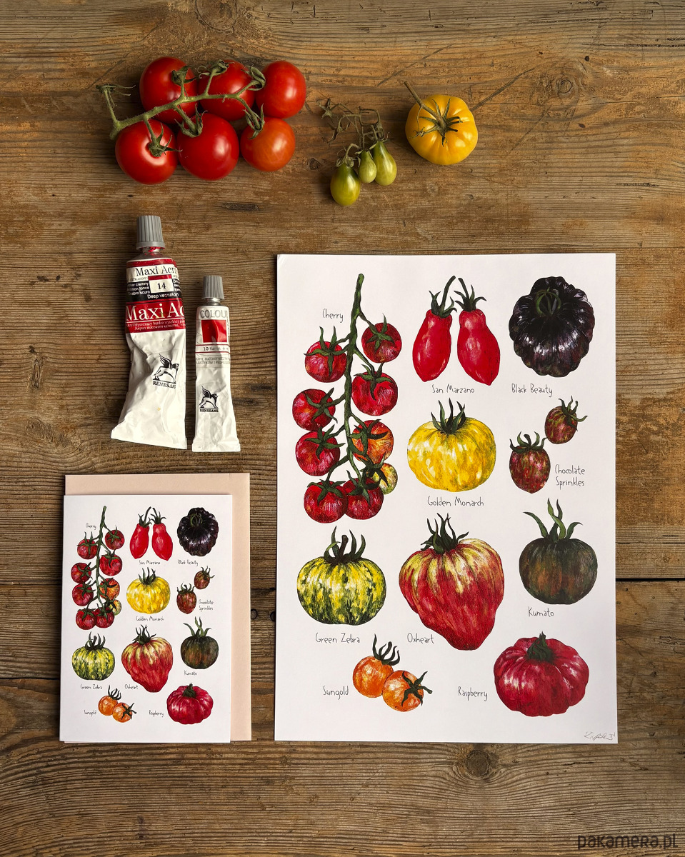 grafiki i ilustracje Pomidory- Grafika na ścianę- Ilustracja- Warzywniak 3