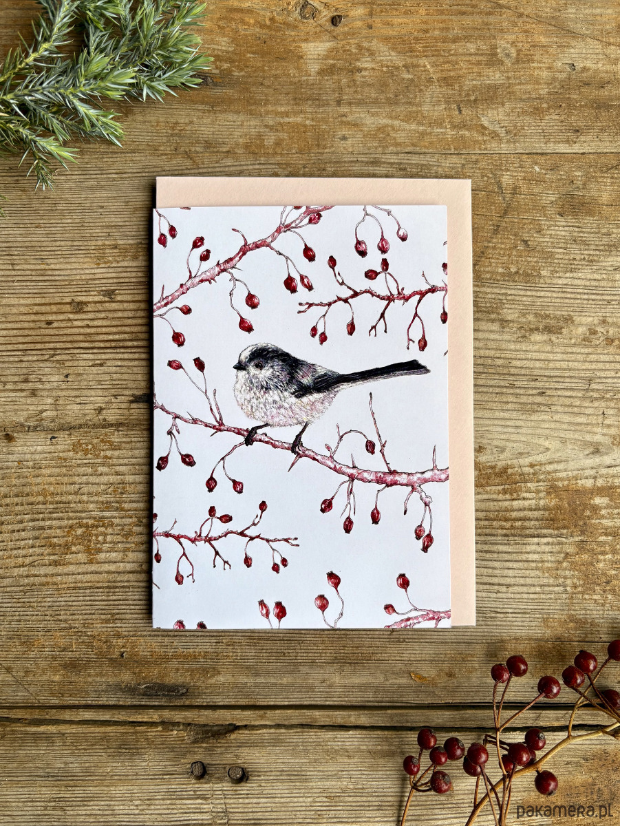 kartki okolicznościowe - wydruki Raniuszek- Kartka- Grafika- Ilustracja- Ptaki 1