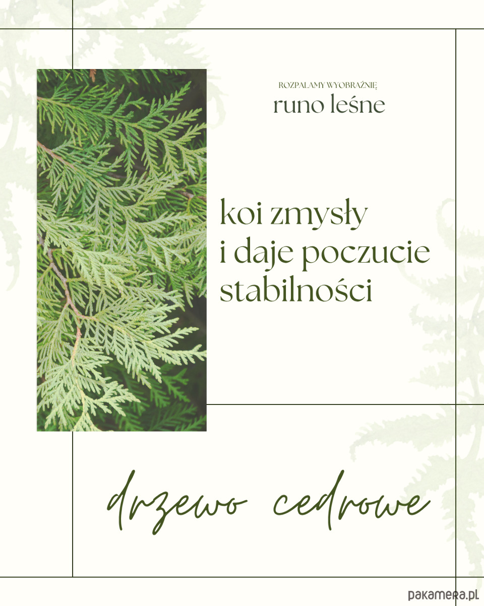 świeczniki i świece Runo leśne 2