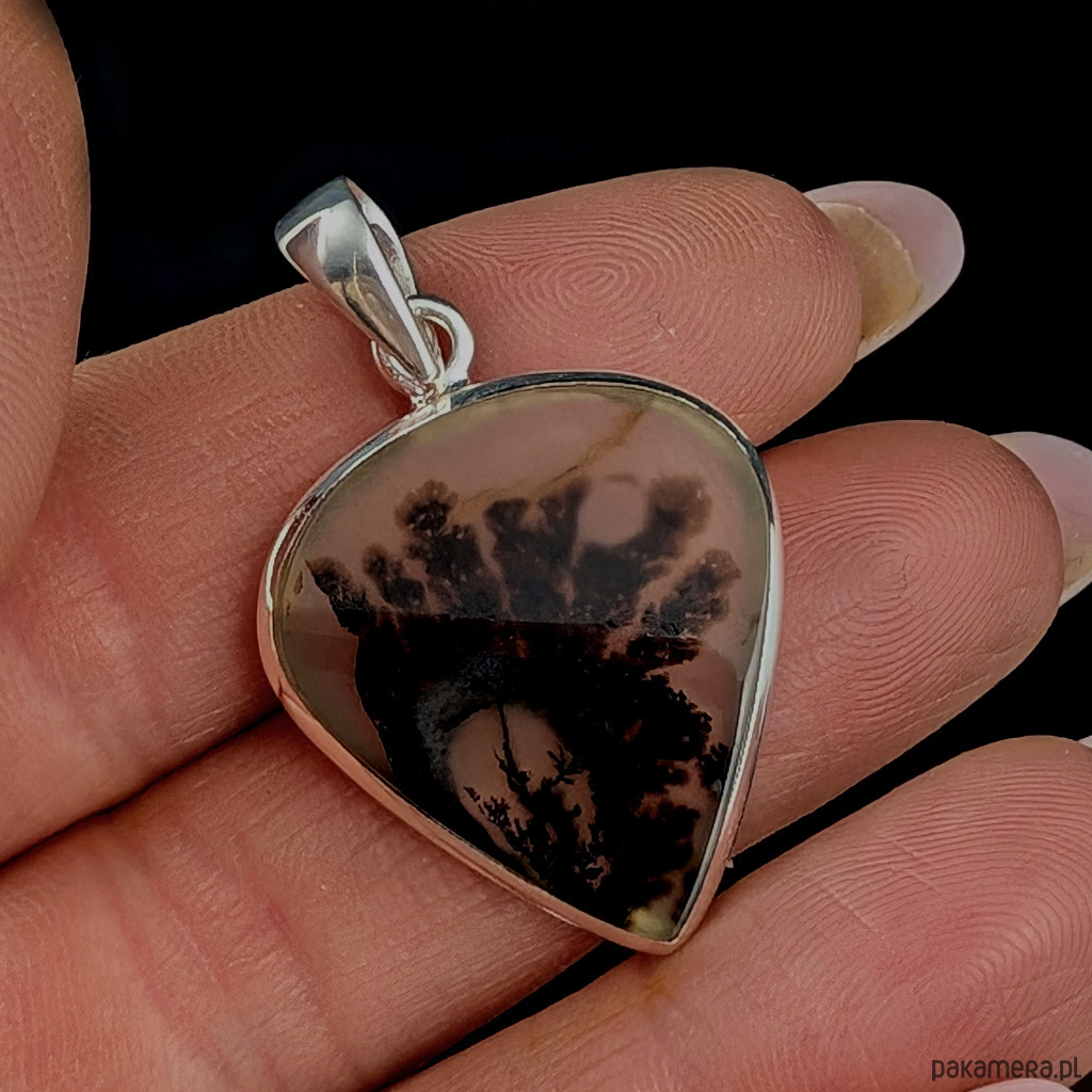 wisiory Jesienny roślinnik Montana agat 3