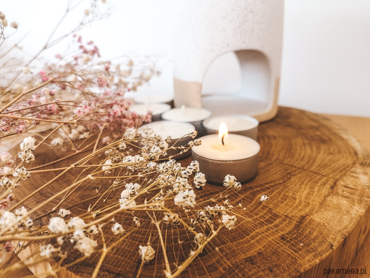 dla domu Podgrzewacze sojowe 1