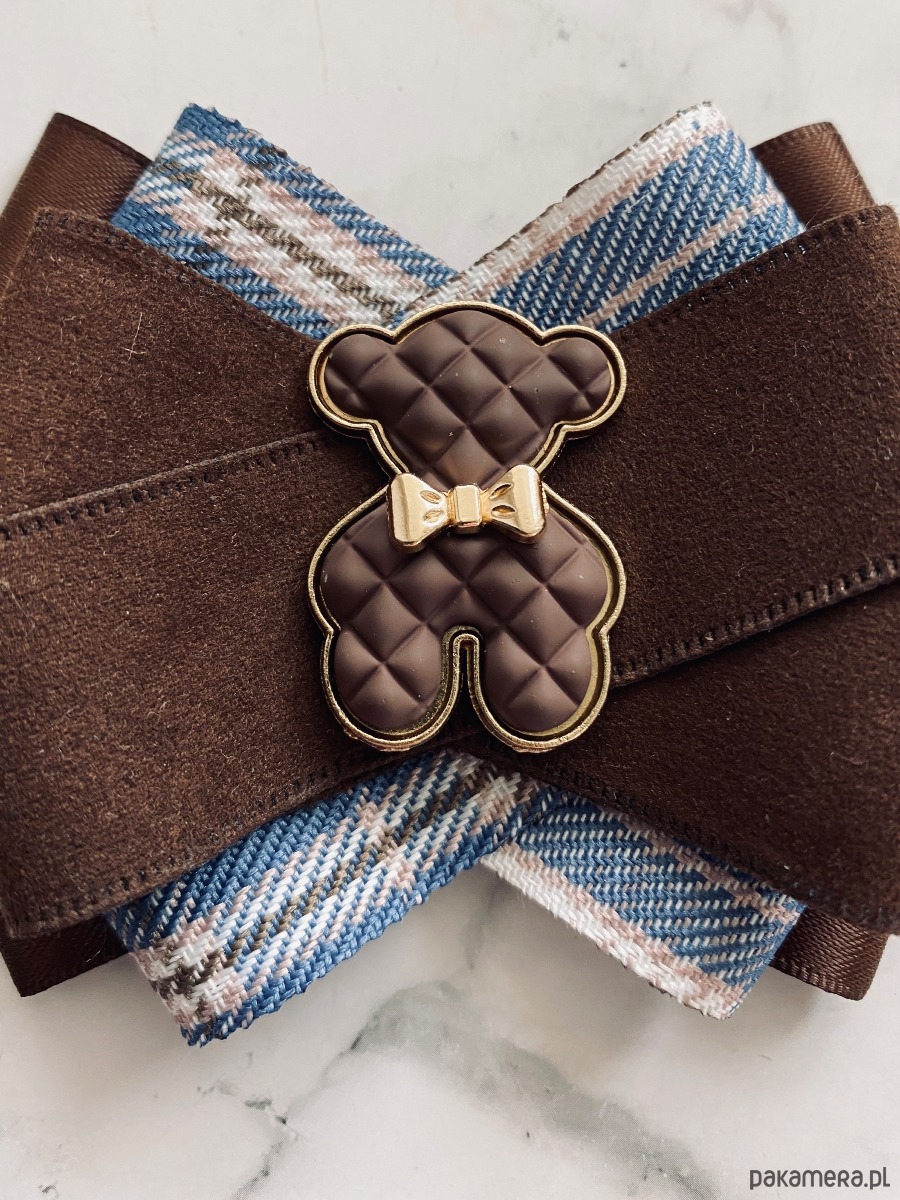 broszki Jesienna Brosza  z  czekoladowym MISIEM Nowość 5