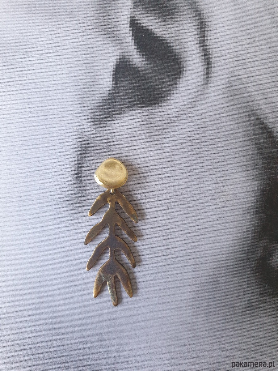 kolczyki z mosiądzu Kolczyki GARDEN OF EDEN  mosiądz, liście długie oksyda brązy 3