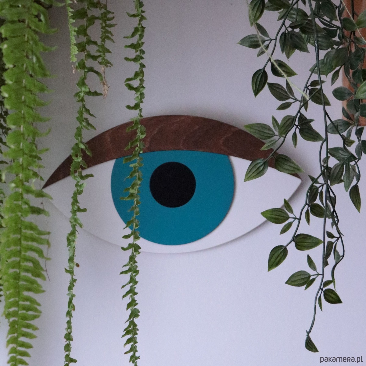 Ozdoby na ścianę Oko 3D Tramontana orzechowa powieka 3