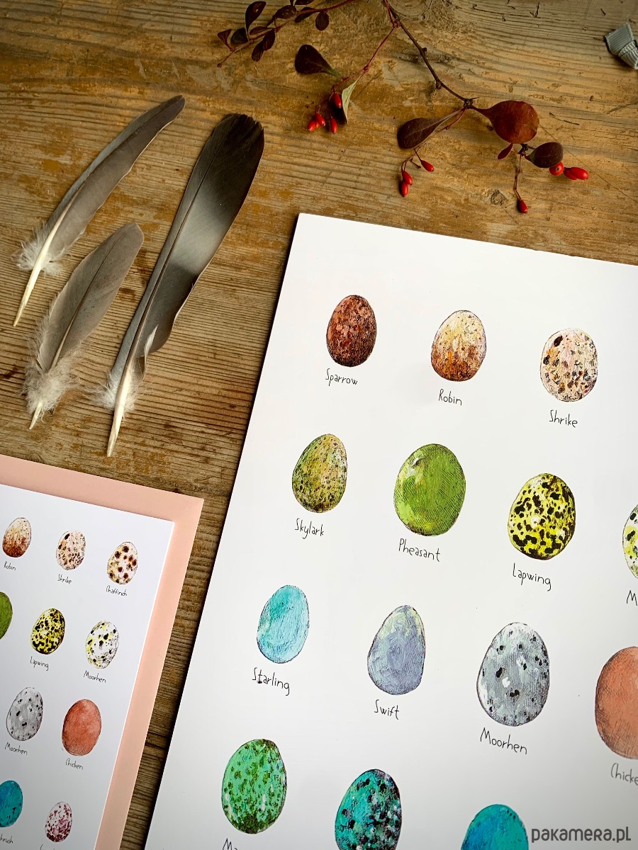 grafiki i ilustracje Jajka - grafika- ilustracja- plakat- eggs 3