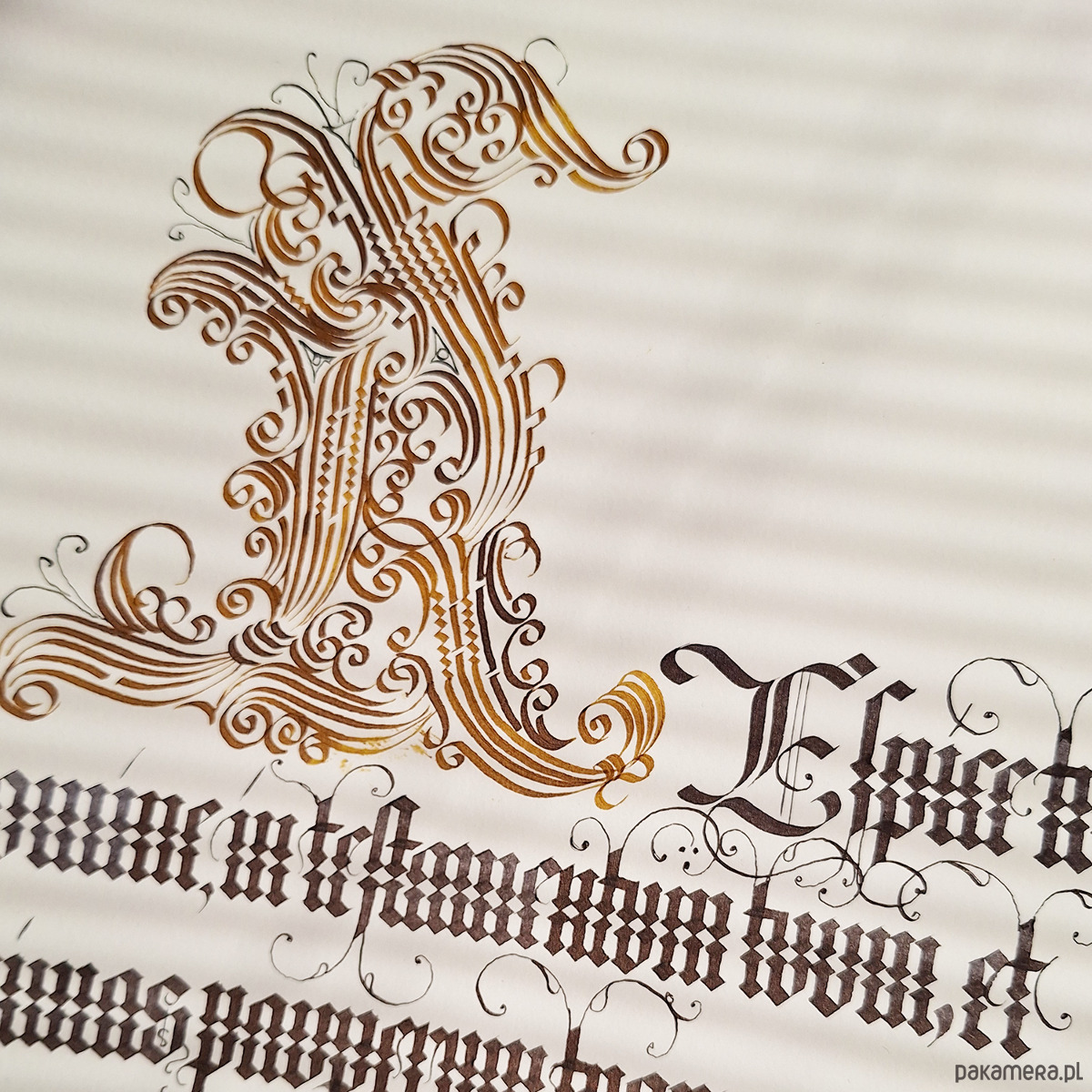 Warsztaty inne Pojedyncze zajęcia Kaligrafii Mira Calligraphiae Monumenta Środy 18:00-20:00 0