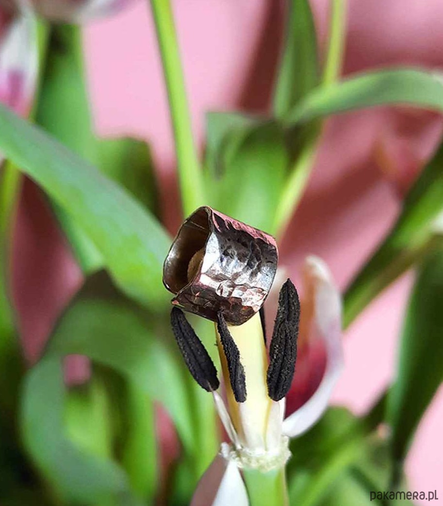 nausznice Nausznica  BETON 2