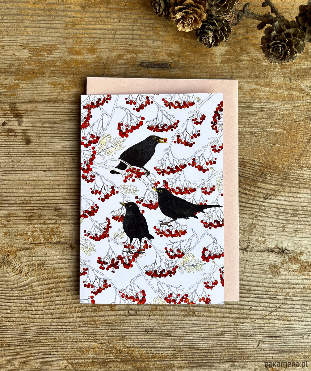 kartki okolicznościowe - wydruki Kosy w jarzębinie- Kartka- Grafika- Ilustracja- Ptaki 1