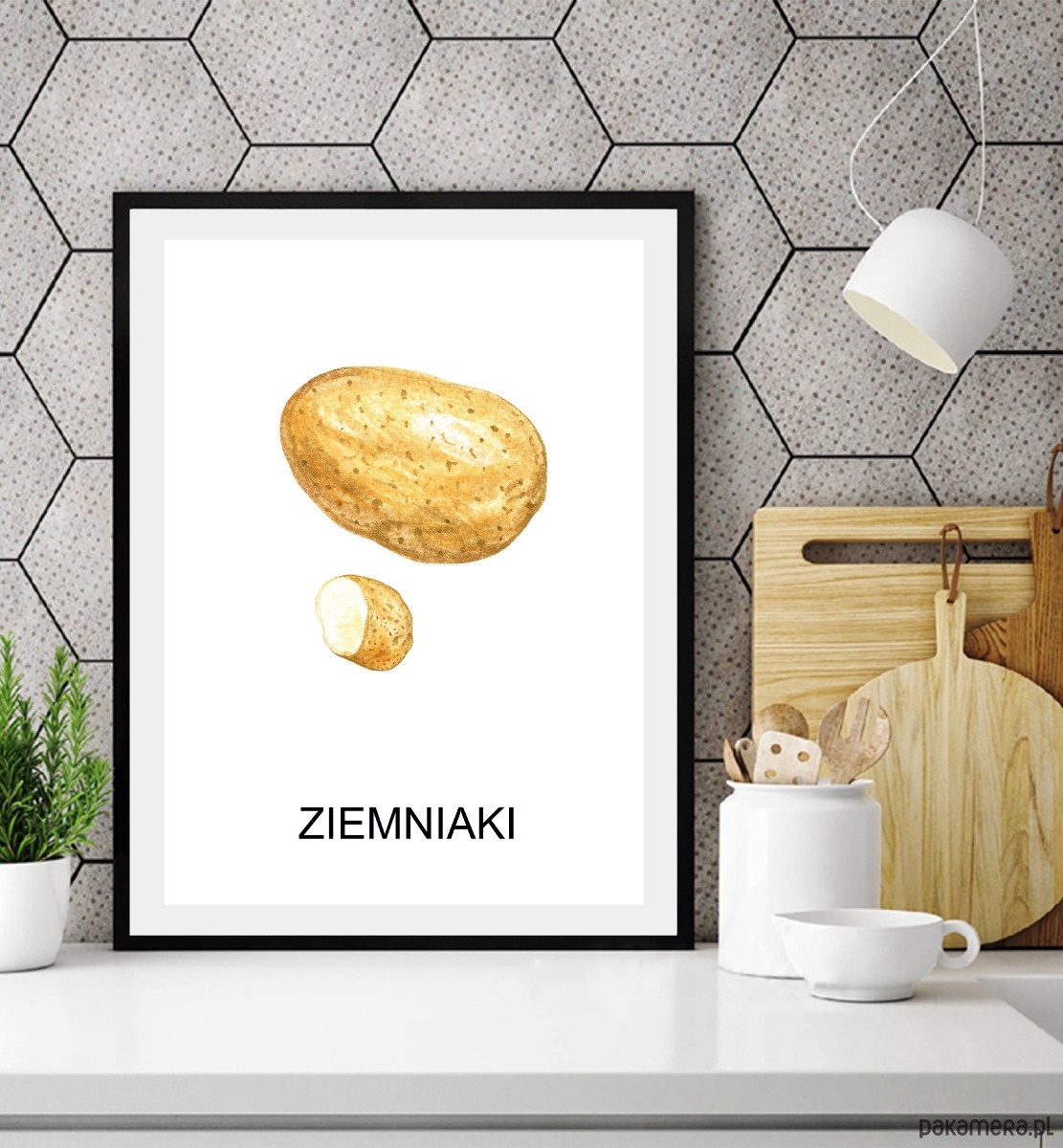 plakaty Plakat  GRAFIKA ZIEMNIAKI warzywa obraz ZIOŁA 1