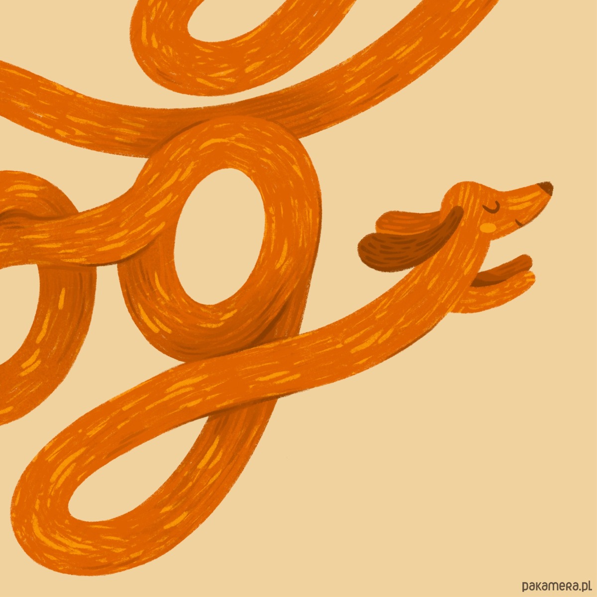 plakaty Plakat "Oh my dog" 1