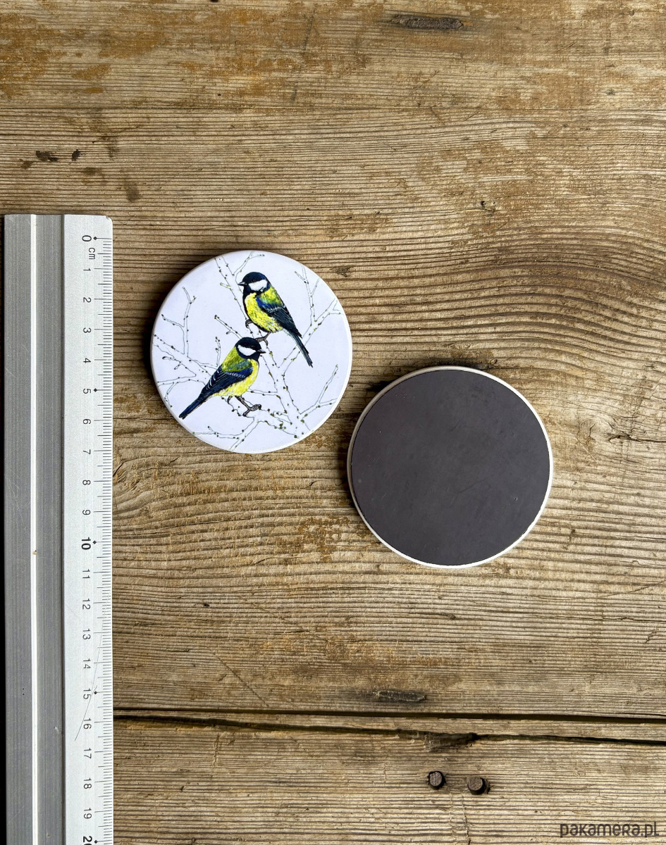 magnesy Sikorki bogatki- Magnes ceramiczny- Ilustracja- Ptaki 2