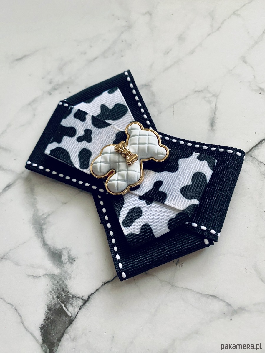 broszki Brosza z MISIEM Nowość 2