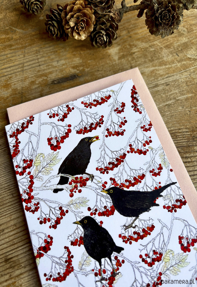 kartki okolicznościowe - wydruki Kosy w jarzębinie- Kartka- Grafika- Ilustracja- Ptaki 2