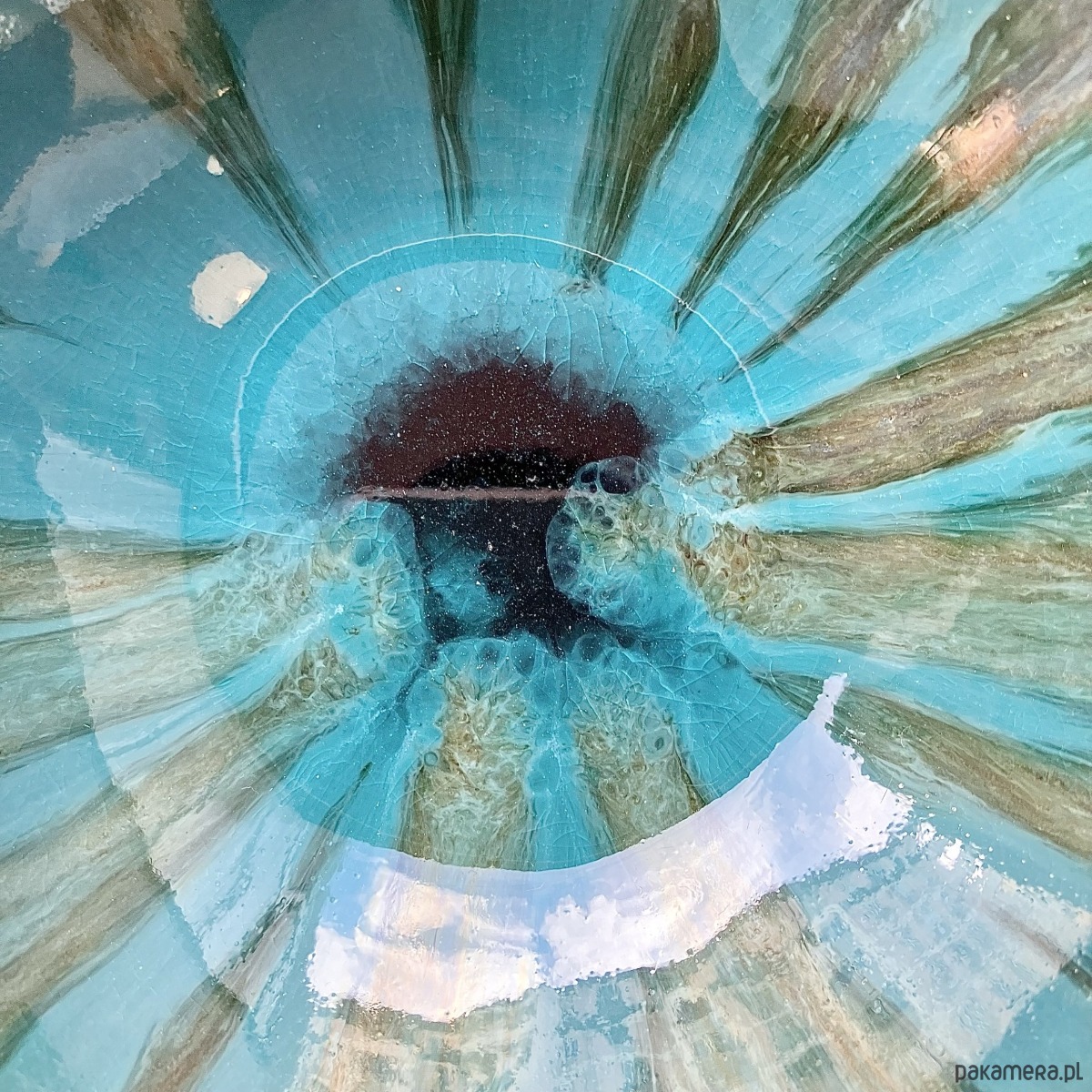 miski i misy Miseczka *Lizard* 15cm 3