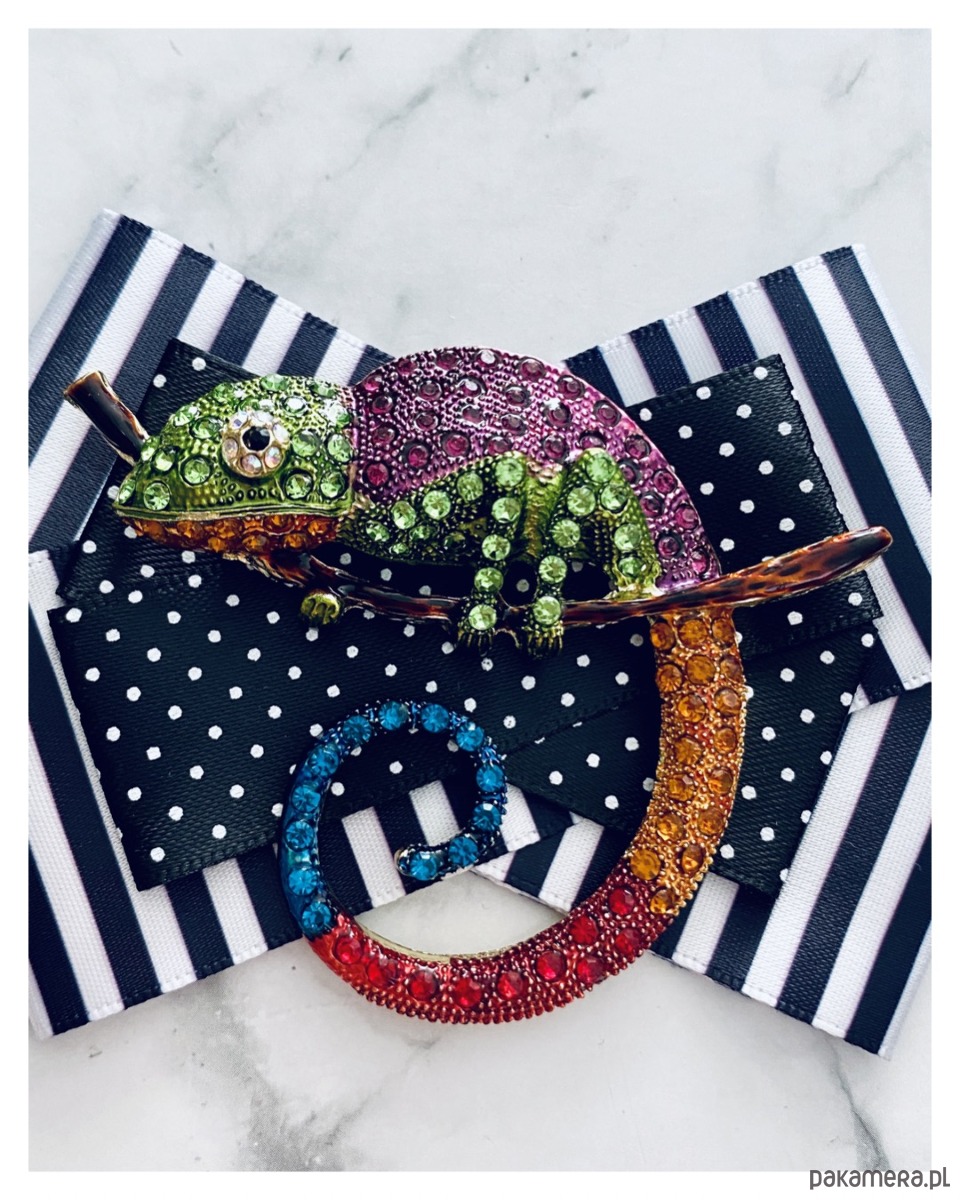 broszki Brosza  z Ogromnym  Kameleonem Kolekcja COLOR 9